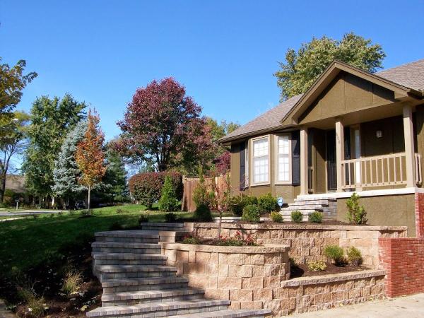 Green Lawn