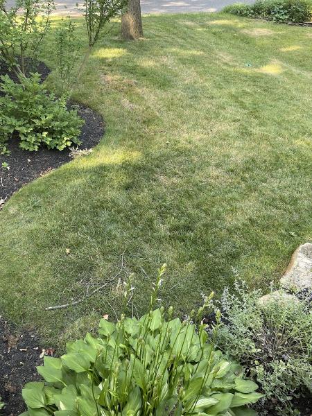 Sprays Lawn Sprinklers LLC