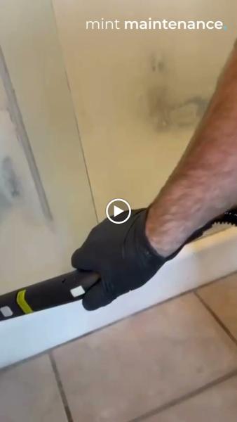 Mint Maintenance