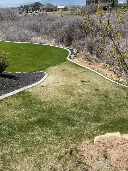 Green Pointe Lawn Care