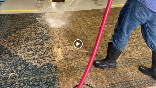 Liotta Carpet Services