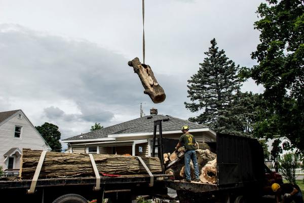 Anjoe Tree Service