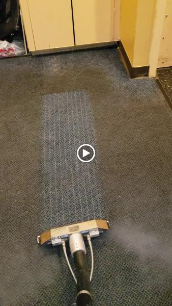 Mike Silvia's Carpet Cleaning & Restoration Inc.