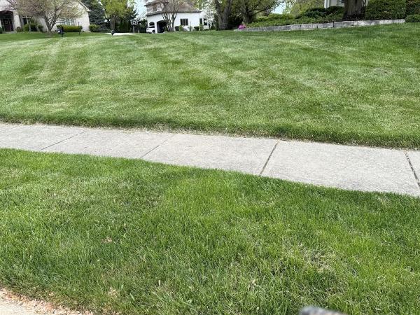 JPJ Landscaping LLC