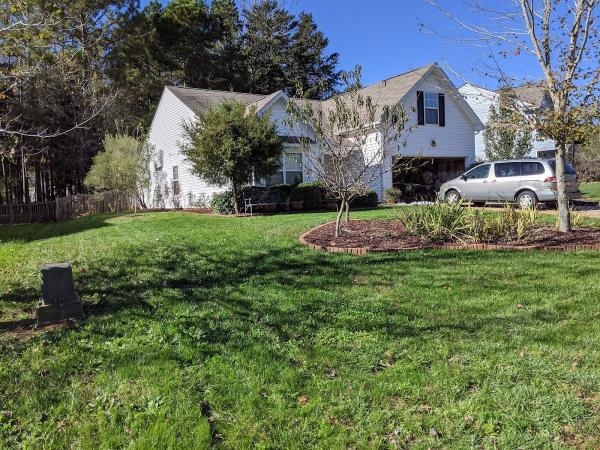 Green Yard Aeration