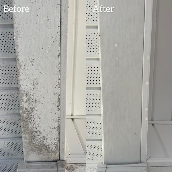 Aqua Premier Pressure Washing LLC