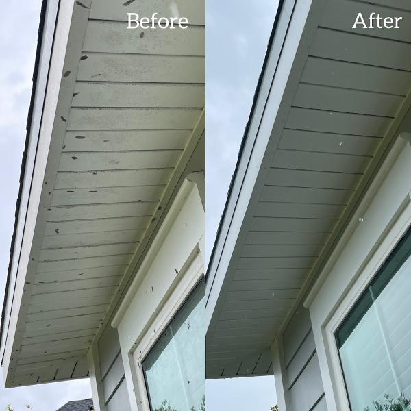 Aqua Premier Pressure Washing LLC
