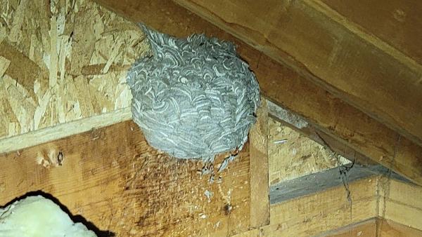 Point Man Home Inspection