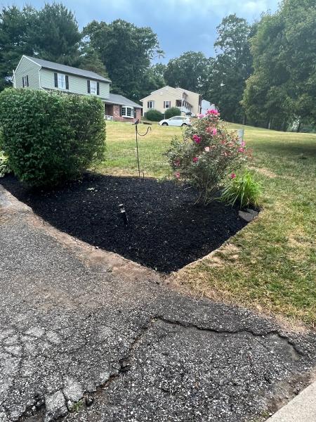Jason Lawn & Landscaping LLC
