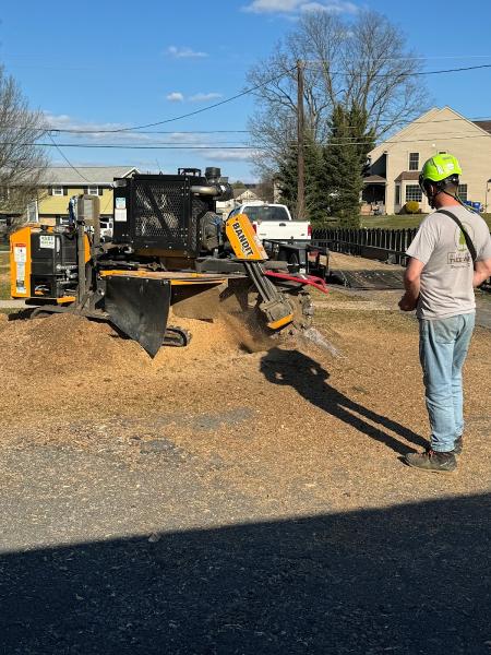 Allegiant Tree Care