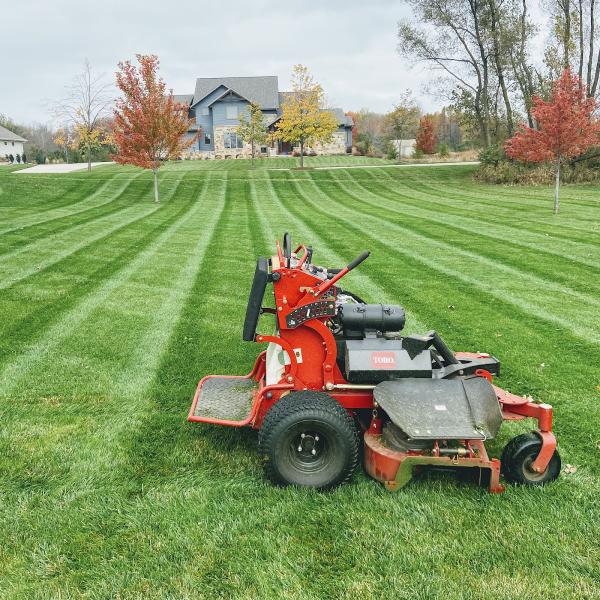 The Perfect Cut