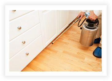 Go Green Pest Control