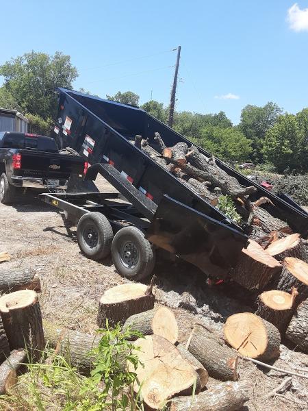 Olvera Tree and Yard Services