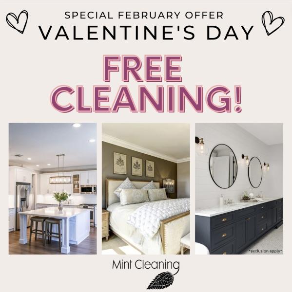 Mint Cleaning LLC