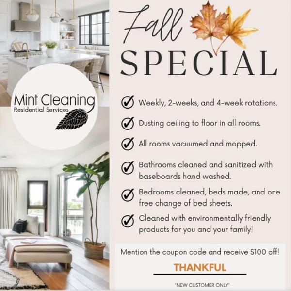 Mint Cleaning LLC