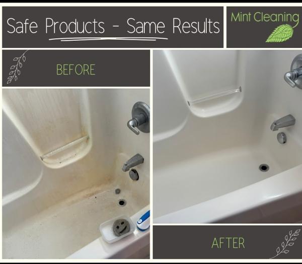 Mint Cleaning LLC