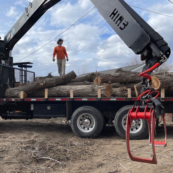 CM Tree Service and Removal