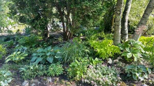 Vermont Garden Design