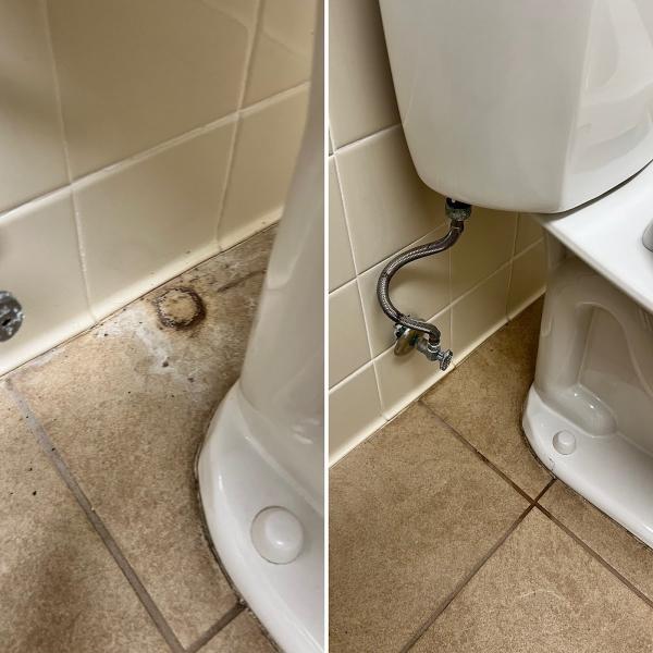 Organic Cleaning Services