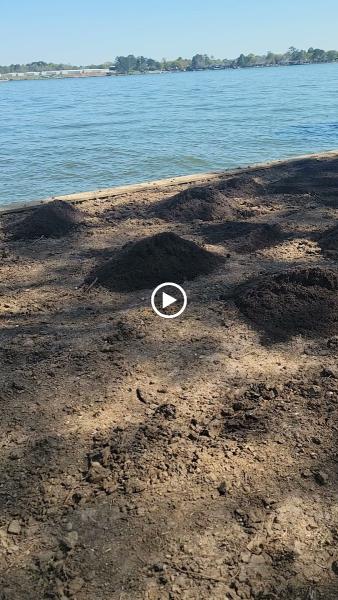 Montenegro Landscaping Services Llc