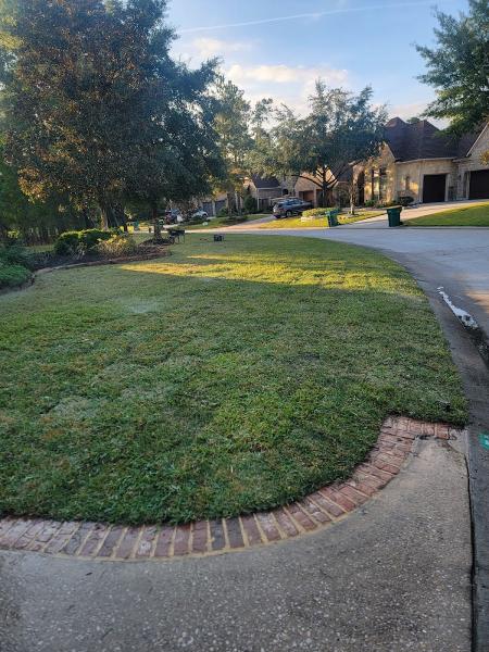 Montenegro Landscaping Services Llc