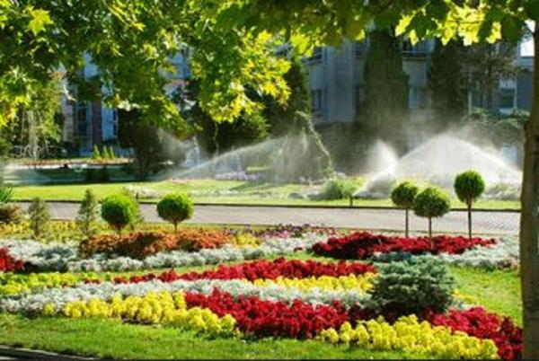 D.s.i. Irrigation & Lighting