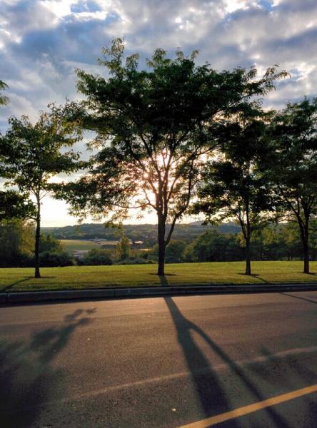 83 Wooster Heights LLC