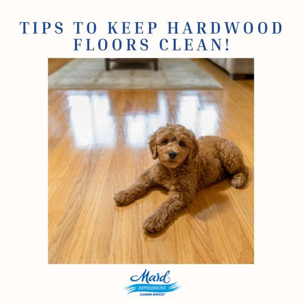 Maid Impressions Cleaning Services