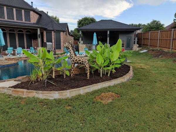 Springscapes