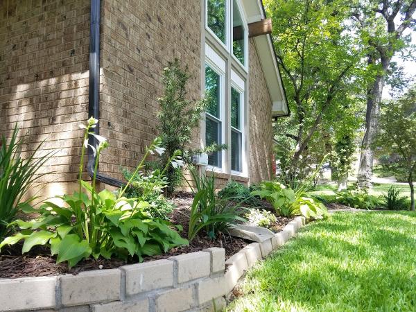 Springscapes