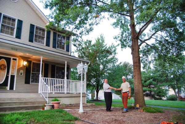 Clean Cut Tree Services