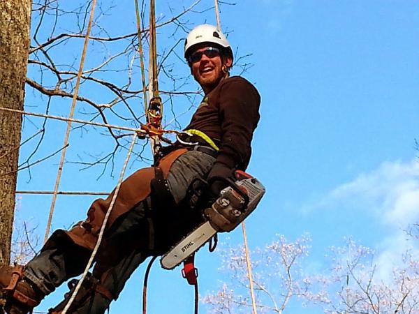 Clean Cut Tree Services