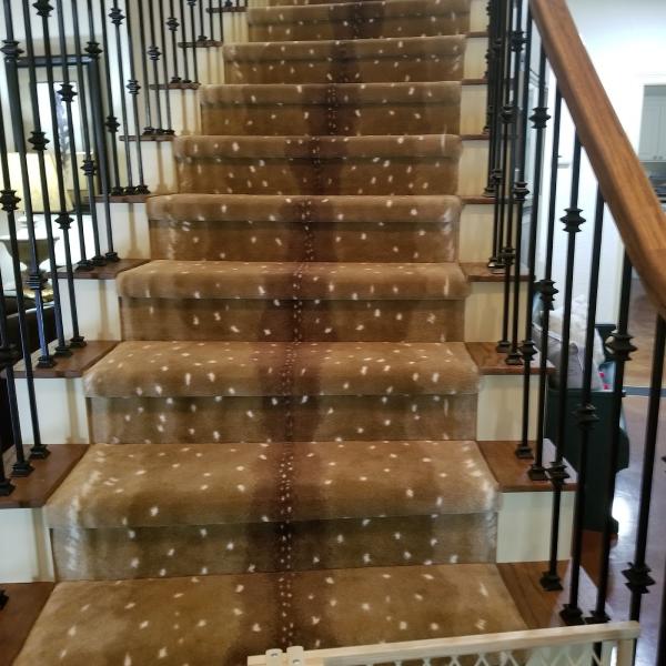Hill Country Carpet Cleaning