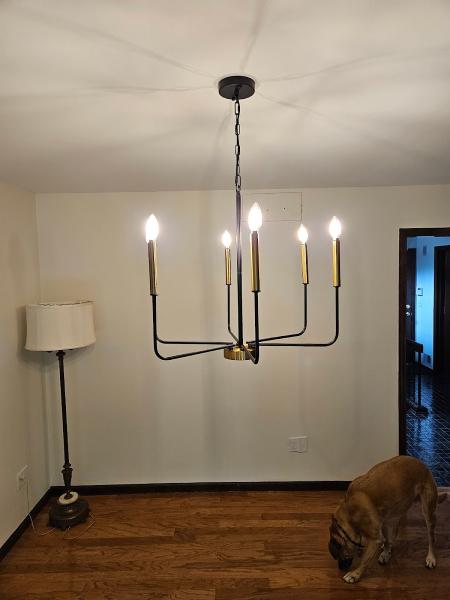 Survivor Electric