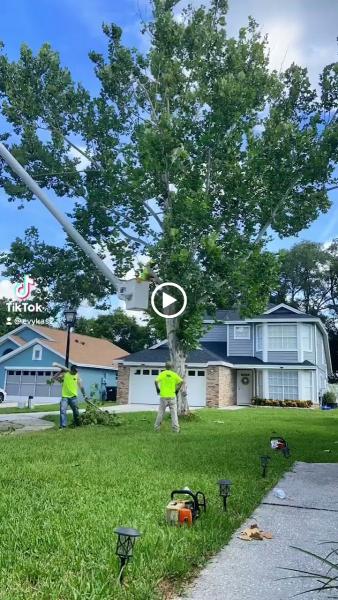 Clayton's Quality Tree Service LLC