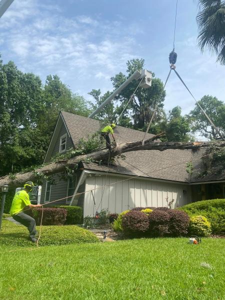Clayton's Quality Tree Service LLC