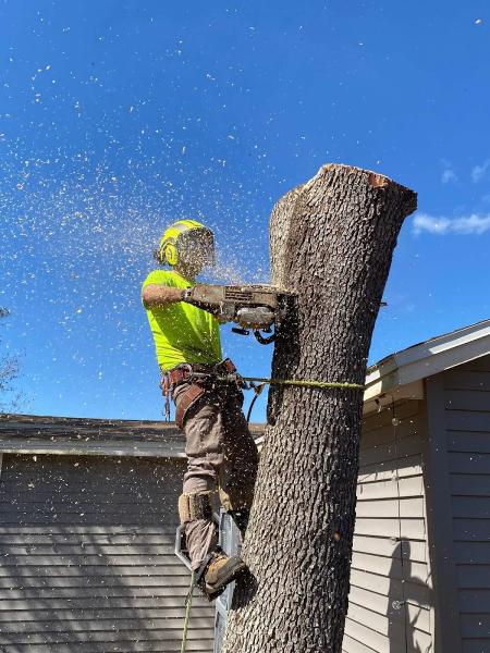 Clayton's Quality Tree Service LLC