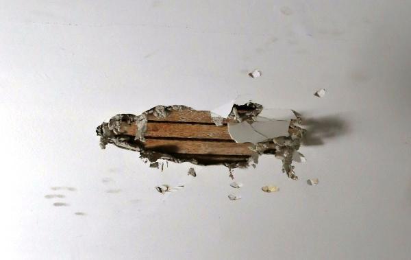 Dive in Restoration