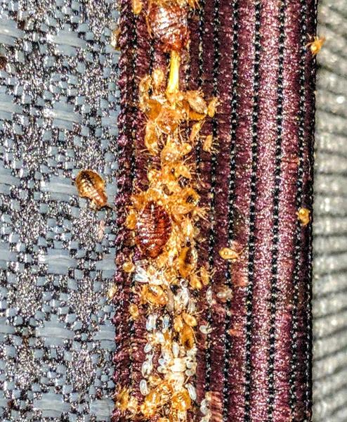 Ampulex Environmental Solutions
