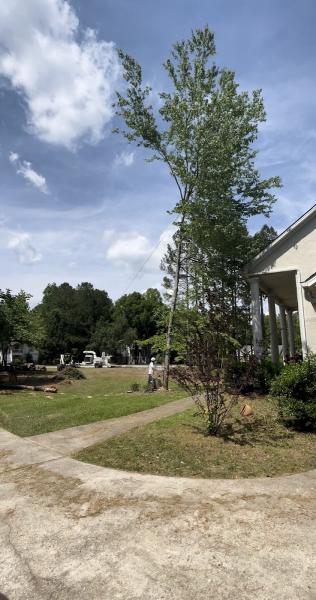 Vantubbs Tree Service
