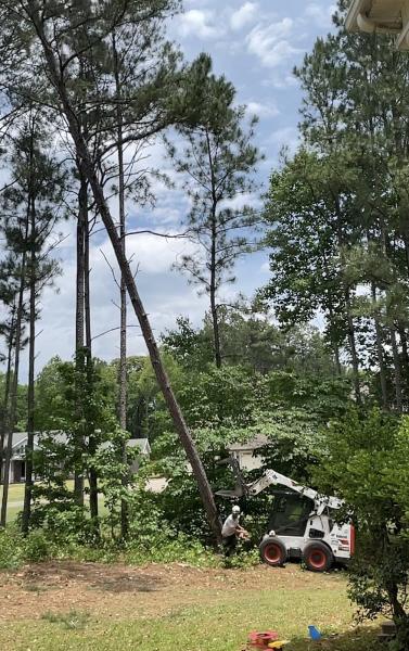 Vantubbs Tree Service