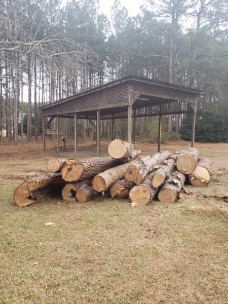Vantubbs Tree Service
