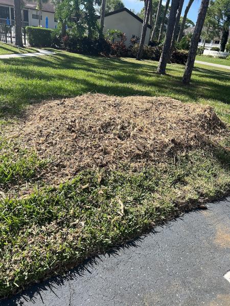 Jeremy's Tree Service