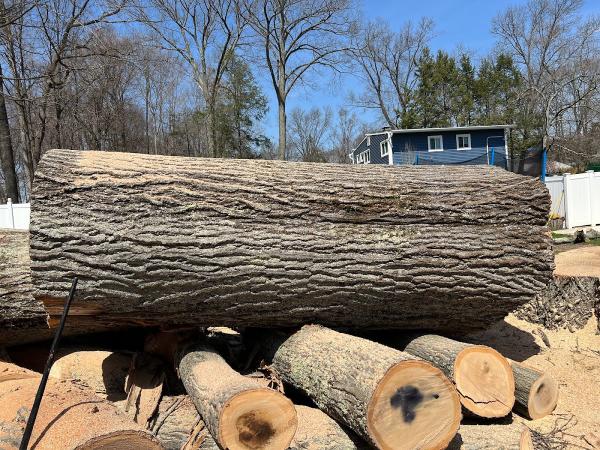 Green Future Tree Services LLC