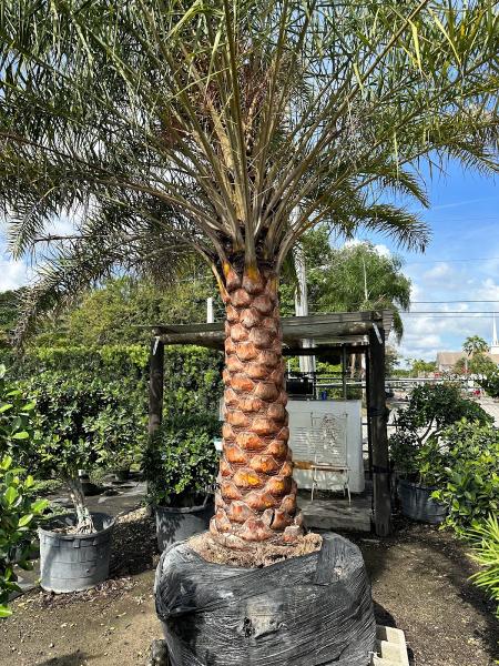 Rivera's Property Maintenance LLC