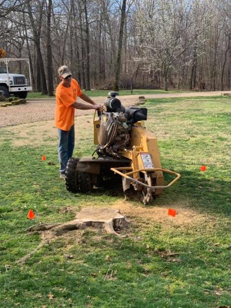 Prairie Grove Tree Service