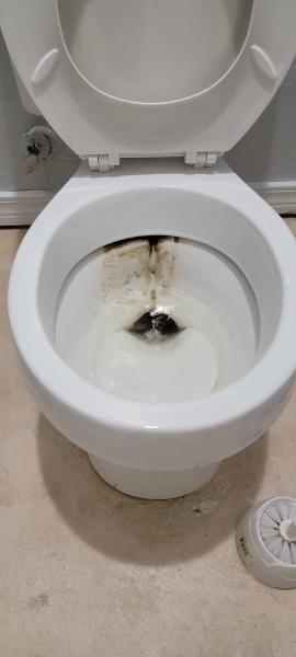 Topnotch Cleaning