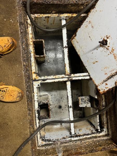 Tiger Grease and Septic