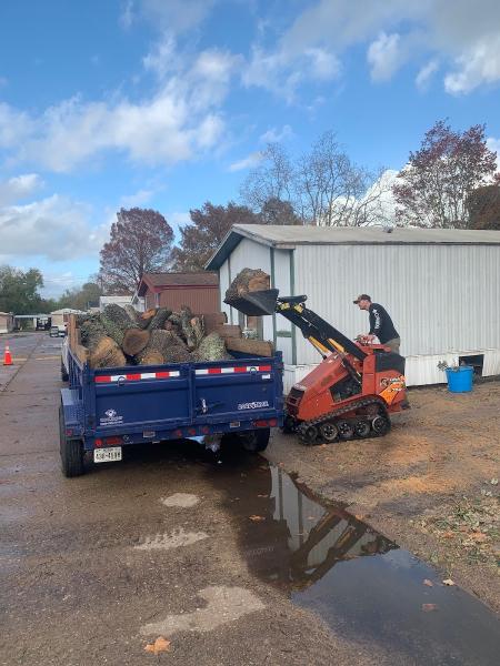 Professional Tree Care