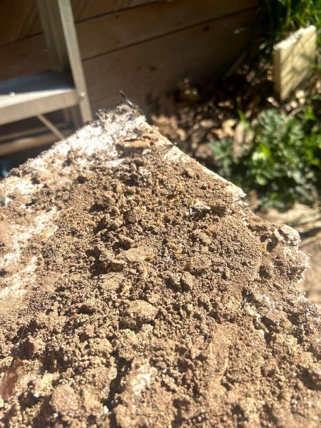The Bug Man Termite and Pest Control